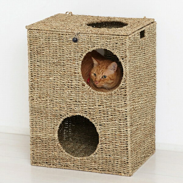 猫 ベッド ハウス Newキャットプレイハウス (28714) クロシオ ねこ 2段 ※北海道・沖縄・離島配送不可 【代引不可】