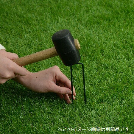 �͹����� ����ԥ� [20�ܥ��å�] �����ԥ� ���顼������С� ��������3cm Ĺ������14cm�� ���̳�ƻ�����졦Υ�������Բ�