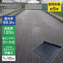 【7/26 1:59迄 5%クーポン】高密度防草シート 1×10m 遮光率99.9% 雑草防止 除草 庭 黒 雑草対策 農業資材 ガーデニング 家庭菜園 園芸用品 園芸資材 人工芝 芝生 織布 ソーラーパネル 太陽光発電 ※沖縄・離島配送不可