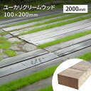 枕木 豪州産 新品 高耐久 ユーカリ クリームウッド 100×約200×2000mm(約40kg) ガーデニング ウッドデッキ 土留 庭 ガーデン 