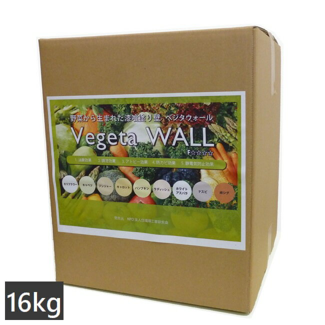 漆喰壁 室内用 壁材 ベジタウォール 16kg (約10～14平米) Vegeta WALL 日本製 ※北海道・沖縄・離島送料別途見積