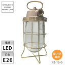 松本船舶照明 マリンランプ R2号テサゲゴールド R2-TS-G LED ※北海道・沖縄・離島配送不可 【代引不可】