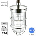 松本船舶照明 マリンランプ 屋内用 2型ダイニングライトシルバー 2-DG-S ※北海道・沖縄・離島配送不可 【代引不可】