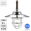 松本船舶照明 マリンランプ 屋内用 吊下リビングライトシルバー TR-LV-S ※北海道・沖縄・離島配送不可 【代引不可】