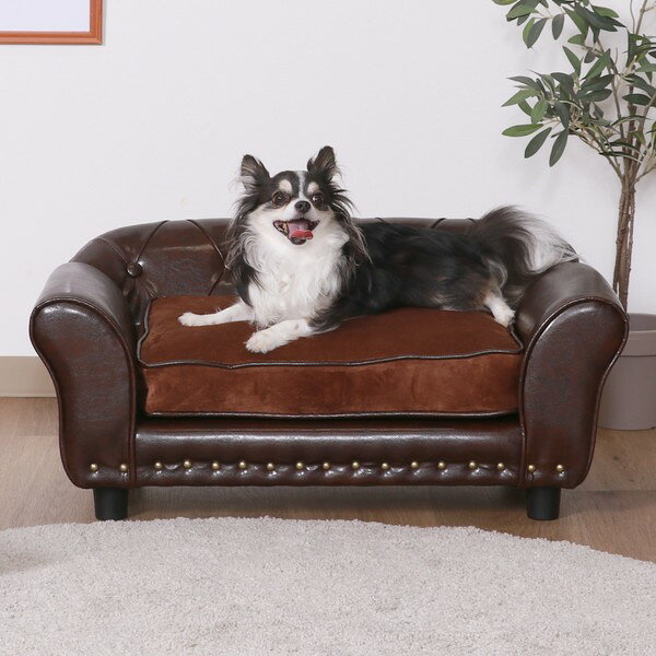樂天商城 - ペットソファ チェスターフィールド風 ブラウン (45233) 犬 猫 ※北海道+1200円 【代引不可】