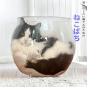 猫鉢 ねこばち 猫の金魚鉢 クッション付 (cat_catfishbowl) ペット おもちゃ キャットハウス 透明 ※北海道・沖縄・離島配送不可 【代引不可】
