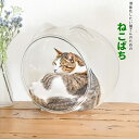 猫鉢 ねこばち 猫の金魚鉢 横型 クッション付 (cat_catear) ペット おもちゃ キャットハウス 透明 猫耳 ※北海道・沖縄・離島配送不可 【代引不可...