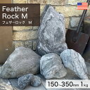 積石 アメリカ産 天然石 フェザーロック M 1kg 【要-荷下ろし手伝い】 ※送料別途見積 離島配送不可 【代引不可】