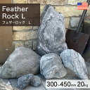 積石 アメリカ産 天然石 フェザーロック L 20kg 【要-荷下ろし手伝い】 ※送料別途見積 離島配送不可 【代引不可】