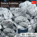 庭石 栗石 玉石 トルコ産 天然石 ゼブラコブル (50~150mm) 1kg 【要-荷下ろし手伝い】 ※送料別途見積 離島配送不可 【代引不可】