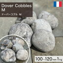庭石 栗石 玉石 フランス産 天然石 ドーバーコブル (100~120mm) M 1kg 【要-荷下ろし手伝い】 ※送料別途見積 離島配送不可 【代引不可】