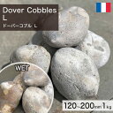 庭石 栗石 玉石 フランス産 天然石 ドーバーコブル (120~200mm) L 1kg 【要-荷下ろし手伝い】 ※送料別途見積 離島配送不可 【代引不可】