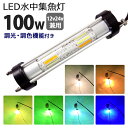 Ms.LABOڥߥܡۤ㤨LED潸 饤 100W ĴĴǽ 12V 24v  ꡼ ֥롼 ۥ磻  ѡץ  餹    led 饤   饤 Ĵ Ĵ led楤ߥ͡     ܡ  ųݤפβǤʤ126,800ߤˤʤޤ