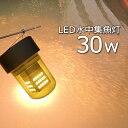 【2個セット】集魚ライト led 水中集魚灯 30w 黄色光 イエロー イカ釣り 漁船 led ライト しらすうなぎ 集魚灯 12v 24v イカ アジ タチウオ LED集魚灯 船舶ライト LED 水中ライト 水中イルミネ…