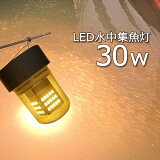 2ĥåȡ۽饤 led 潸 30w     led 饤 餹ʤ  12v 24v    LED 饤 LED 饤 楤ߥ͡    ܡ  ųݤ 饹ʥ 饦 