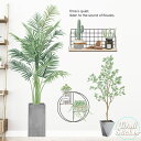ウォールステッカー アレカヤシ マウンテンアッシュ サボテン 観葉植物 木 ツリー グリーン 植木鉢 葉っぱ 南国 夏 はがせる 壁飾り カフェ インテリアシール Wallsticker ウォールシール ウォールシート メール便