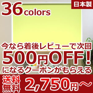 ロールスクリーン オーダー 日本製 送料無料 遮光 ウォッシャブル 洗える 防炎 防水 シースルー 浴室 選べるタイプ ロールカーテン 無地