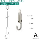 ARAKAWA ピクチャー ハンガー フック BS-20R ループ ワイヤー セット 【メーカー直送品】 荒川 技研 ピクチャーレール