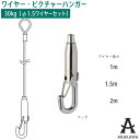 ARAKAWA ピクチャー ハンガー フック BS-20RP ループ ワイヤー セット 【メーカー直送品】 荒川 技研 ピクチャーレール