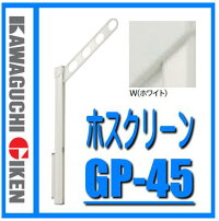 川口技研ホスクリーンGP-45