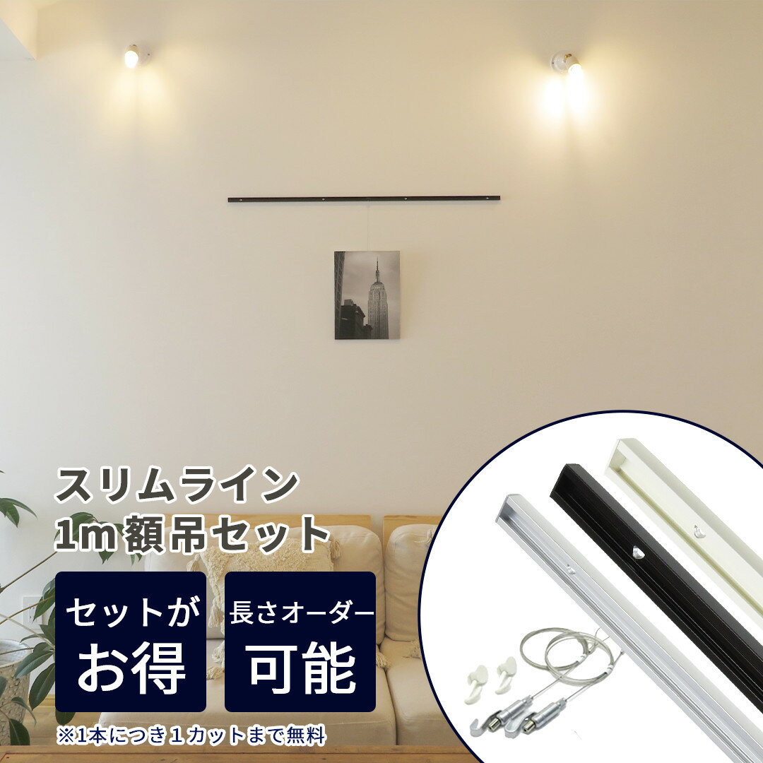 ピクチャーレール ワイヤー スリムライン 1m 額吊セット 新型ワイヤーフックα【アルファ】 1m【額2枚分セット】 T．T株式会社