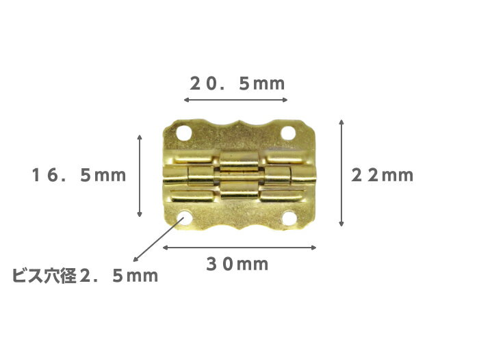 Ŵ�� �������� 90�볫 ������� 2�� ��Ȣ����