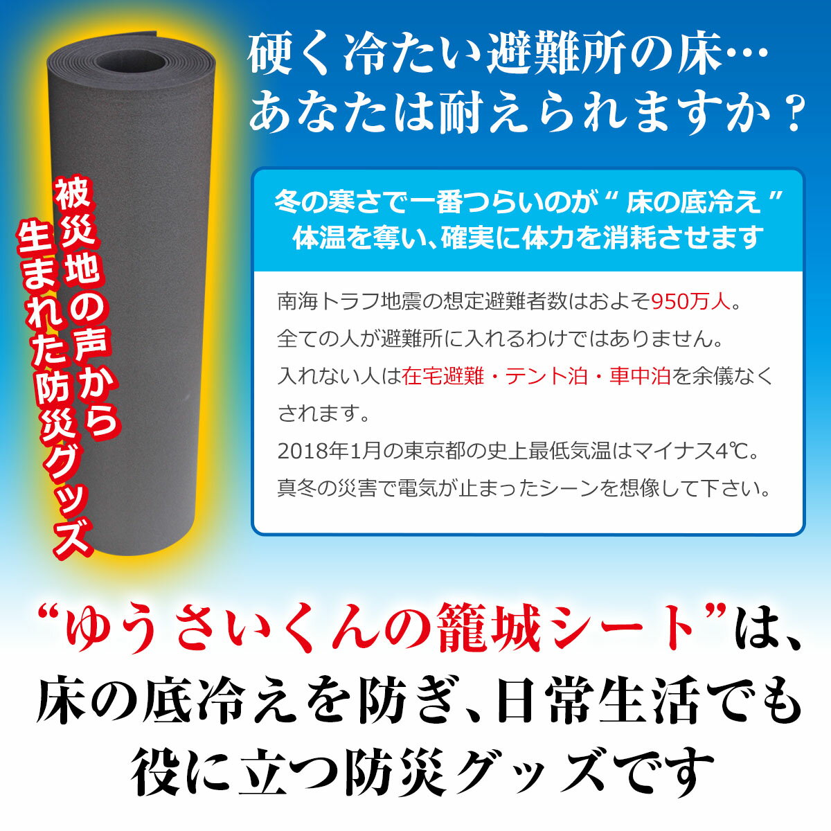 在宅避難の必需品 籠城シート10m【防災グッズ 床 底冷え 対策 床用断熱シート　避難　避難セット 避難弱者　避難グッズ 災害用 災害グッズ 防災倉庫 備蓄倉庫 自宅避難 避難所 防災セット 中身だけ 防災リュック 単品防災グッズ(防災用品) 防災 エアーマット お勧め 高齢者】 2