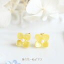 菜の花ピアス/イヤリング【日本製】