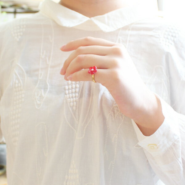 �ߤβ֥쥮��顼/�ԥ󥭡���󥰡��������ۡڥե꡼���������ء�