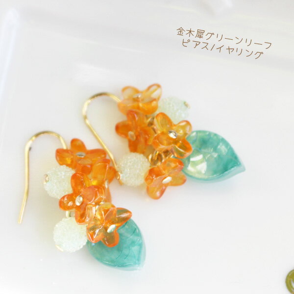 �ץ����ꥢ���ںԥ��꡼��꡼�եԥ���/�����󥰡���������