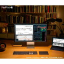 Steinberg Dorico Pro Education (アカデミック版)(スタインバーグ)(ドリコ)(譜面作成ソフト)(オンライン納品) DTM DAWソフト