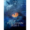 CINESAMPLES Deep Percussion Beds 1(IC[ip)͂p܂ DTM \tgEFA