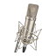 あす楽 NEUMANN U87Ai Studio Set(専用サスペンション・専用ケースセット)(国内正規品・3年保証） レコーディング マイク