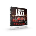 xlnaudio Addictive Drums 2 Modern Jazz Brushes ADpak (IC[i)(s) DTM \tgEFA