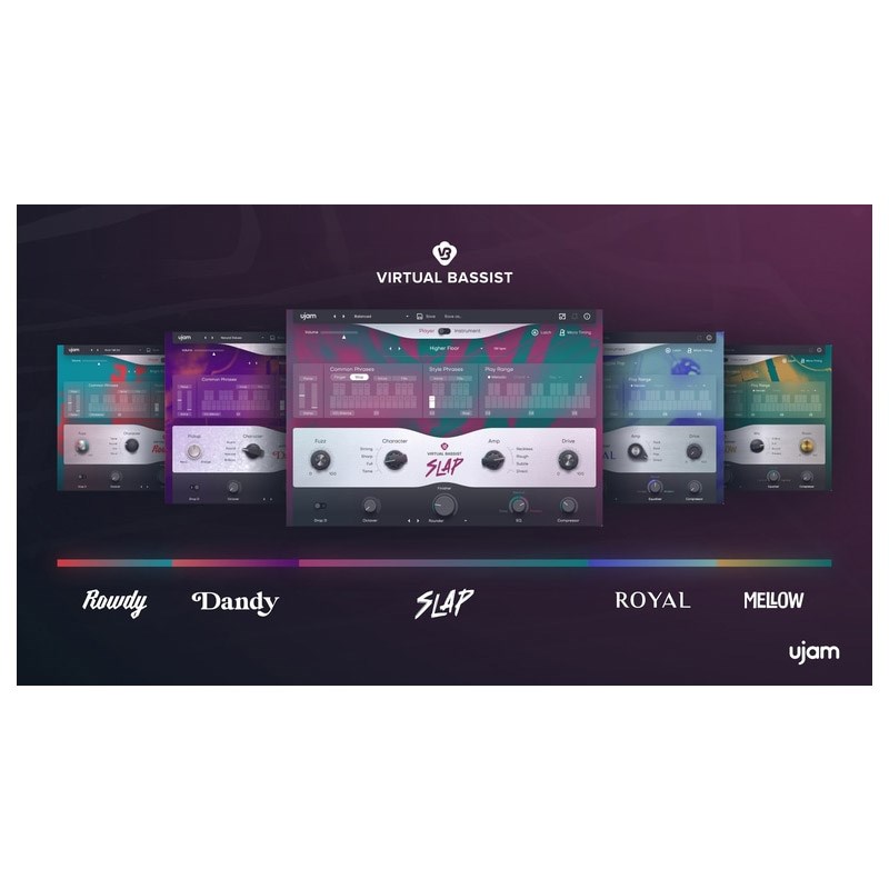 UJAM Virtual Bassist Bundle(IC[i)(s) DTM \tgEFA