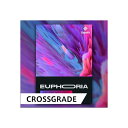 UJAM USYNTH EUPHORIA / CROSS GRADE (オンライン納品)(代引不可) DTM ソフトウェア音源