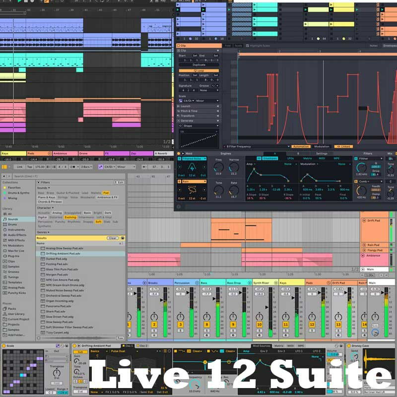 楽天DJ機材専門店PowerDJ’sableton Live 12 Suite （オンライン納品）（代引不可） DTM DAWソフト