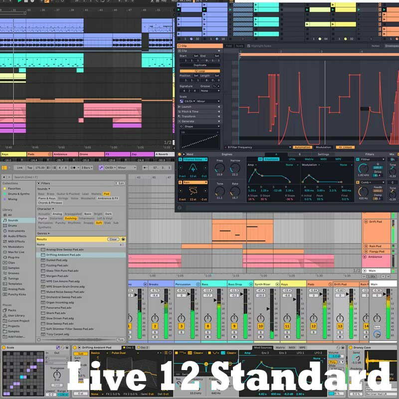 ableton Live 12 Standard (IC[i)(s) DTM DAW\tg