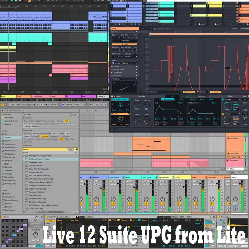 ableton Live 12 Suite UPG from Lite (IC[i)(s) DTM DAW\tg
