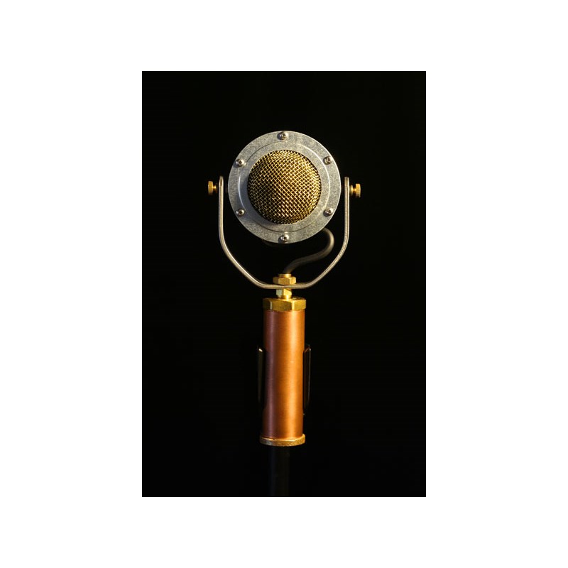 Ear Trumpet Labs EDWINA (エドウィーナ)(イヤー・トランペット・ラボ)(コンデンサーマイク) レコーディング マイク