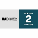 Universal Audio UAD Custom 2 Bundle (ユニバーサルオーディオ)(UAD Native)(オンライン納品) DTM プラグインソフト