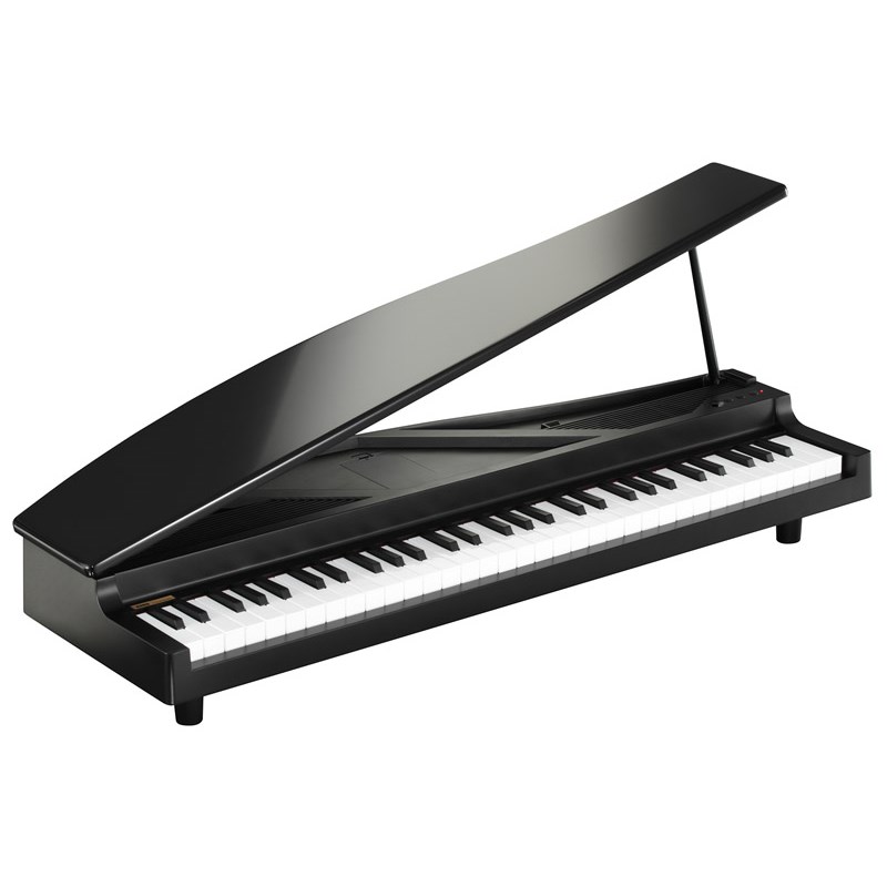 Next-day delivery! KORG microPIANO BK Black (Early Summer Sale) [Perfect for Gifts] Electronic Piano & Other Keyboard Instruments Portable Keyboard