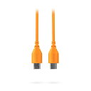 RODE SC22-O(オレンジ)(ロード)(USB-C - USB-C 30cm) レコーディング レコーダー・プレイヤー