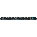 API 3124MV (3124Vのステレオミキサー/トランスバランス出力仕様モデル) 【お取り寄せ商品・納期3週間程】 レコーディング アウトボード