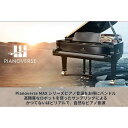 IK Multimedia 【アイケーマルチメディア Virtual Instruments Sale!】Pianoverse Max (代引不可)(オンライン...