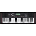 あす楽 Roland 【GWゴールドラッシュセール】E-X10(Arranger Keyboard)(限定特価) シンセサイザー 電子楽器 シンセサイザー