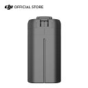 DJI Mini 2 インテリジェント フライトバッテリー (1065 mAh) DJI Mini 2 専用アクセサリー 最大飛行時間18分 充電 バッテリー