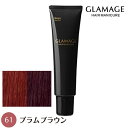 ホーユー グラマージュ 150g 61 プラムブラウン ヘアマニキュア 染毛料 