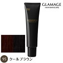 ホーユー グラマージュ 150g 95 クールブラウン ヘアマニキュア 染毛料 【NS】