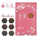 ランドプランニングアソシエーツ 香草カラー色葉 300g サロン専売品 